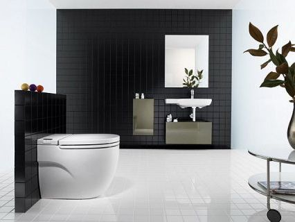 Как выбрать унитаз – советы экспертов Как выбрать унитаз – советы экспертов