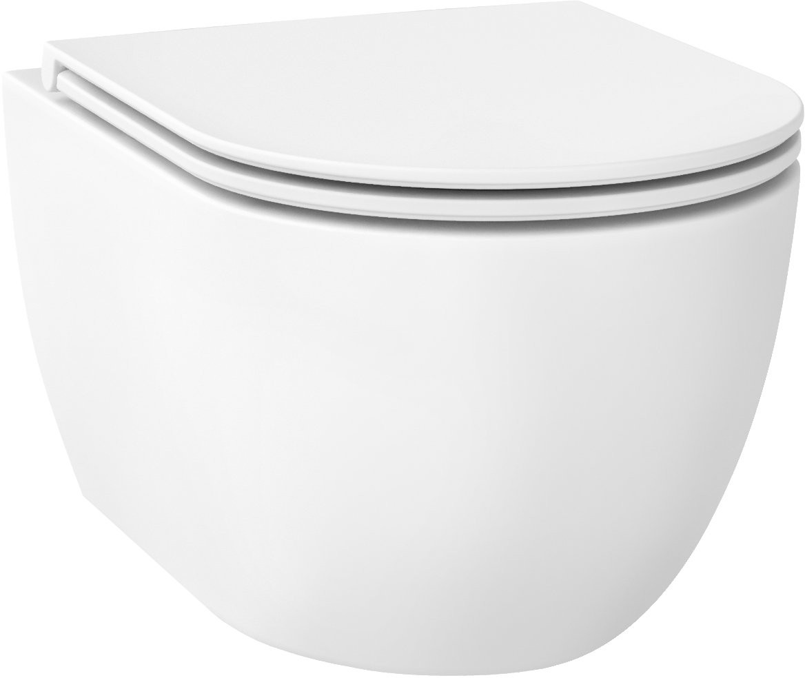 Унитаз подвесной Wellsee Chalice Perfection RimFree 182608001 матовый Унитаз подвесной Wellsee Chalice Perfection RimFree 182608001 матовый