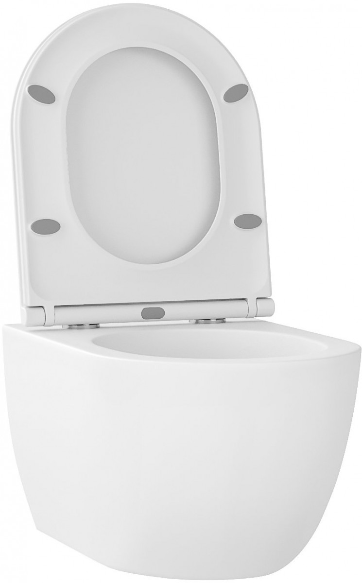 Унитаз подвесной Wellsee Chalice Perfection RimFree 182608001 матовый Унитаз подвесной Wellsee Chalice Perfection RimFree 182608001 матовый