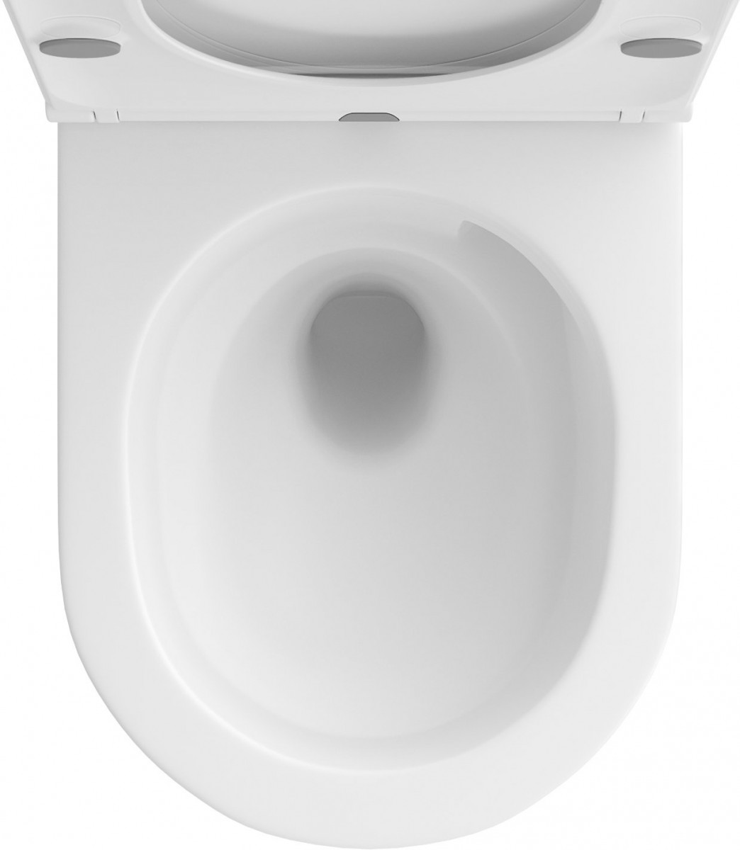 Унитаз подвесной Wellsee Chalice Perfection RimFree 182608001 матовый Унитаз подвесной Wellsee Chalice Perfection RimFree 182608001 матовый