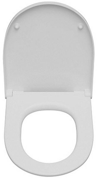 Унитаз подвесной Roca Meridian Rimless Compacto 346244000 + ZRU9307606 36x48 сиденье Duroplast Унитаз подвесной Roca Meridian Rimless Compacto 346244000 + ZRU9307606 36x48 сиденье Duroplast