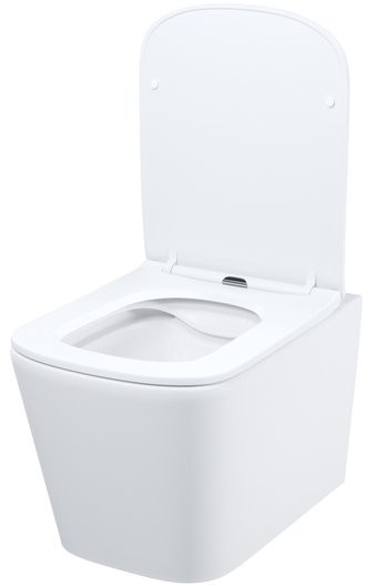 Унитаз подвесной Iddis Bild BILRNSEi25 34,2x48,5 сиденье Duroplast, микролифт глянец Унитаз подвесной Iddis Bild BILRNSEi25 34,2x48,5 сиденье Duroplast, микролифт глянец