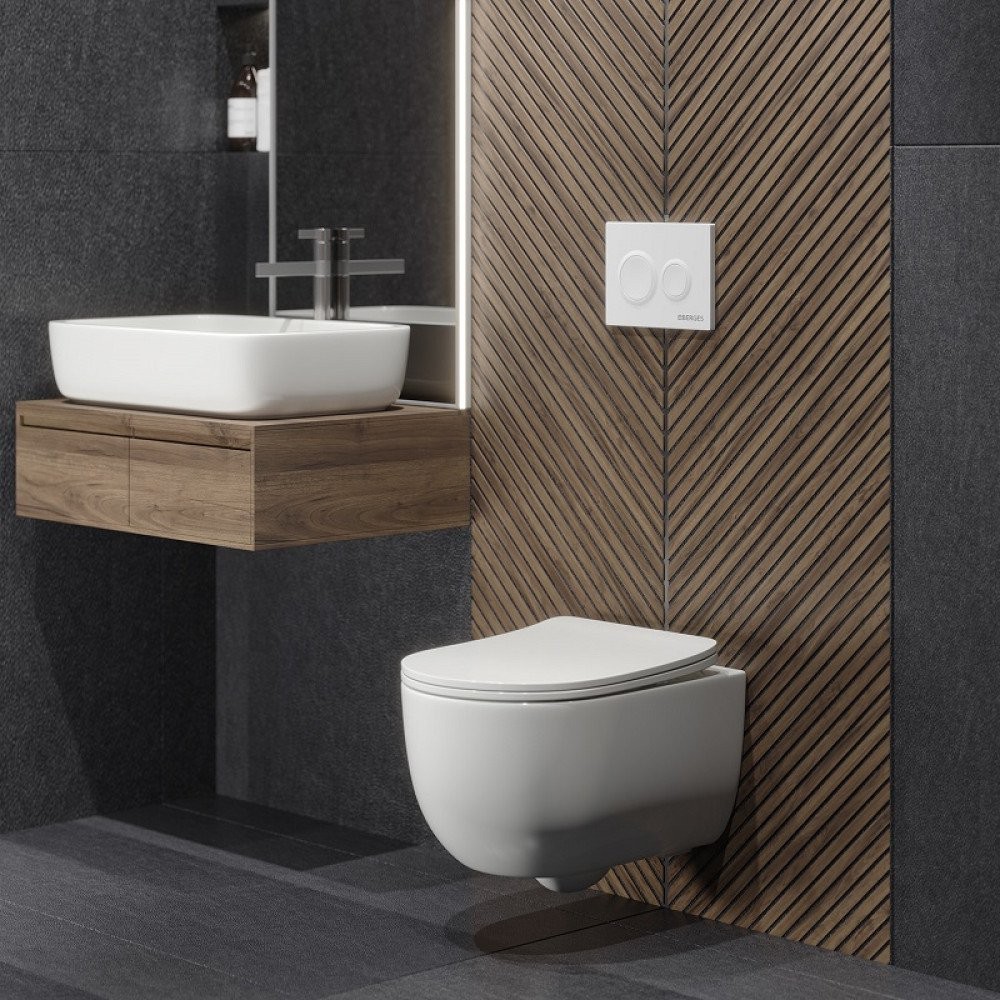 Унитаз подвесной Berges VENTAS Rimless 49 082012 36,5x49 без сиденья Унитаз подвесной Berges VENTAS Rimless 49 082012 36,5x49 без сиденья