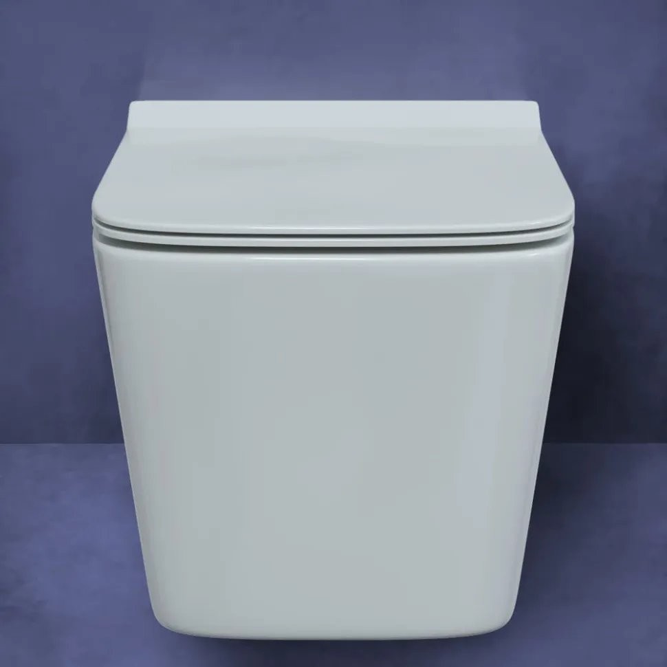 Унитаз подвесной Berges Floe 36x55 сиденье Duroplast Унитаз подвесной Berges Floe 36x55 сиденье Duroplast