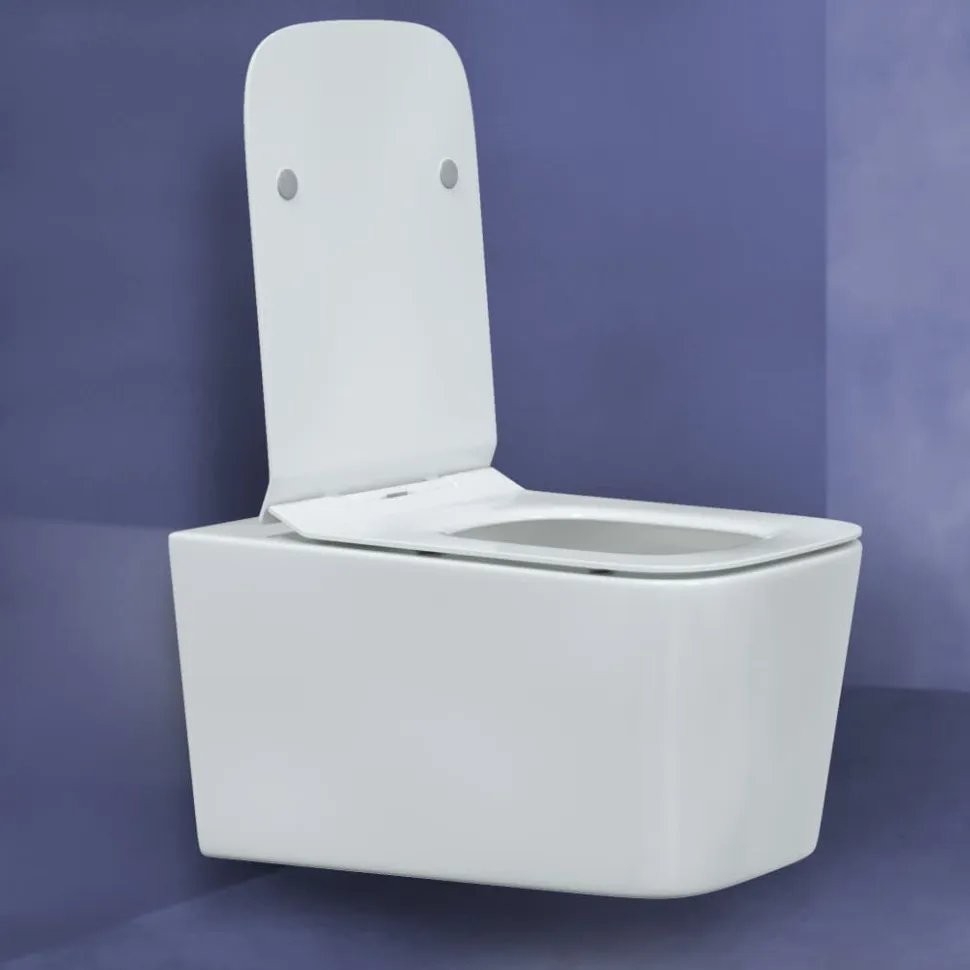 Унитаз подвесной Berges Floe 36x55 сиденье Duroplast Унитаз подвесной Berges Floe 36x55 сиденье Duroplast