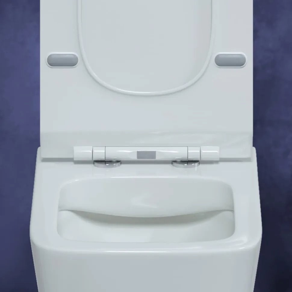 Унитаз подвесной Berges Floe 36x55 сиденье Duroplast Унитаз подвесной Berges Floe 36x55 сиденье Duroplast