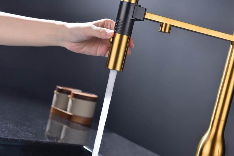 Смеситель для кухни Paulmark Ma213188-BG с подключением фильтра, брашированное золото Смеситель для кухни Paulmark Ma213188-BG с подключением фильтра, брашированное золото