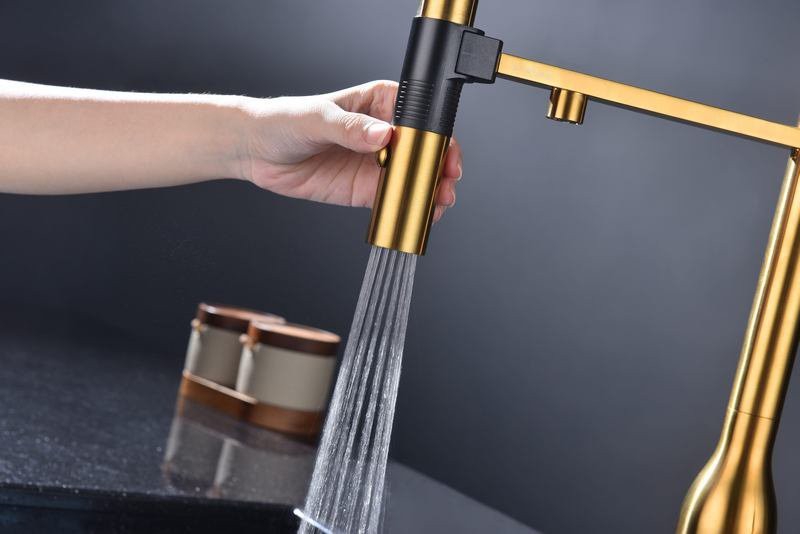 Смеситель для кухни Paulmark Ma213188-BG с подключением фильтра, брашированное золото Смеситель для кухни Paulmark Ma213188-BG с подключением фильтра, брашированное золото