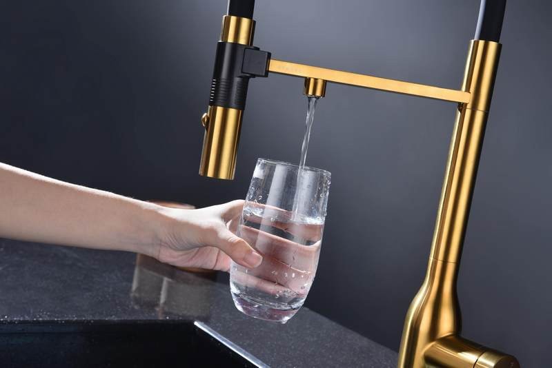 Смеситель для кухни Paulmark Ma213188-BG с подключением фильтра, брашированное золото Смеситель для кухни Paulmark Ma213188-BG с подключением фильтра, брашированное золото