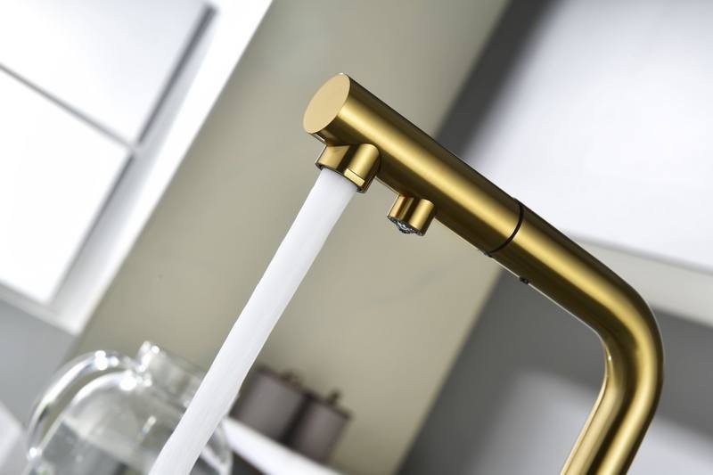 Смеситель для кухни PAULMARK Serpentine Se213222-BG брашированное золото Смеситель для кухни PAULMARK Serpentine Se213222-BG брашированное золото