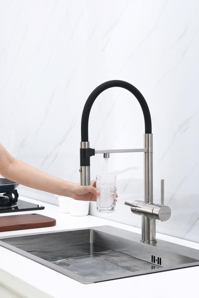 Смеситель для кухни PAULMARK Gravity Stärke Gr213888-BS нержавеющая сталь Смеситель для кухни PAULMARK Gravity Stärke Gr213888-BS нержавеющая сталь