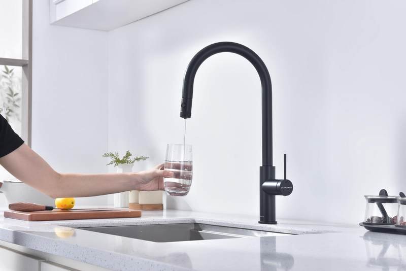 Смеситель для кухни Paulmark Galant Ga213077-GM с подключением фильтра, оружейная сталь Смеситель для кухни Paulmark Galant Ga213077-GM с подключением фильтра, оружейная сталь