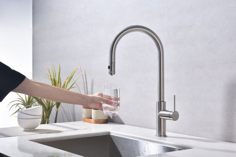 Смеситель для кухни Paulmark Galant Ga213077-BS с подключением фильтра, нержавеющая сталь Смеситель для кухни Paulmark Galant Ga213077-BS с подключением фильтра, нержавеющая сталь