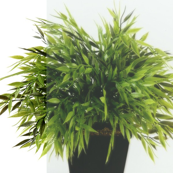 Душевой уголок Triton Терра Голд 120х90 (без поддона) Душевой уголок Triton Терра Голд 120х90 (без поддона)