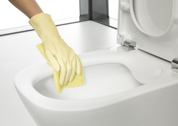 Унитаз подвесной Roca The Gap Rimless 734647L000 (без сиденья) Унитаз подвесной Roca The Gap Rimless 734647L000 (без сиденья)