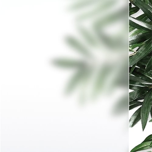 Душевая кабина Domani-Spa Delight Slim 110 100x100 сатин матированное стекло / белые стенки с крышей Душевая кабина Domani-Spa Delight Slim 110 100x100 сатин матированное стекло / белые стенки с крышей