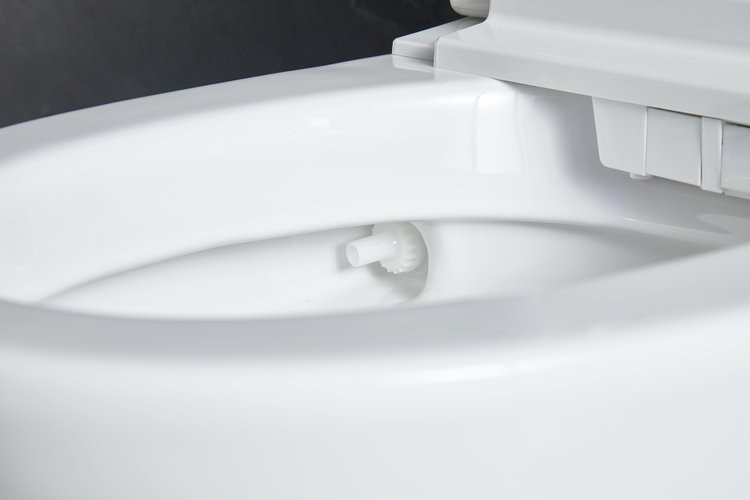 Умный приставной унитаз Roxen Smart Turbo 670300-02 с функцией биде и импульсным смывом Умный приставной унитаз Roxen Smart Turbo 670300-02 с функцией биде и импульсным смывом