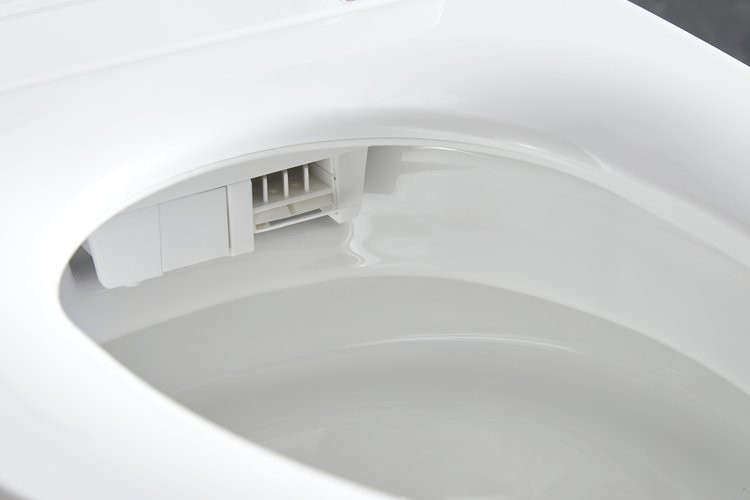 Умный приставной унитаз Roxen Smart Turbo 670300-02 с функцией биде и импульсным смывом Умный приставной унитаз Roxen Smart Turbo 670300-02 с функцией биде и импульсным смывом