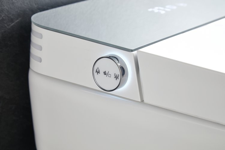 Умный приставной унитаз Roxen Smart Turbo 670300-02 с функцией биде и импульсным смывом Умный приставной унитаз Roxen Smart Turbo 670300-02 с функцией биде и импульсным смывом