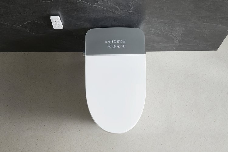 Умный приставной унитаз Roxen Smart Turbo 670300-02 с функцией биде и импульсным смывом Умный приставной унитаз Roxen Smart Turbo 670300-02 с функцией биде и импульсным смывом