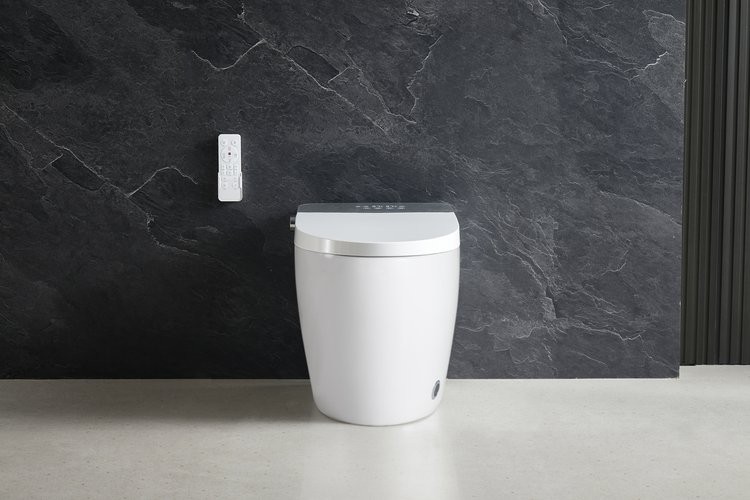 Умный приставной унитаз Roxen Smart Turbo 670300-02 с функцией биде и импульсным смывом Умный приставной унитаз Roxen Smart Turbo 670300-02 с функцией биде и импульсным смывом