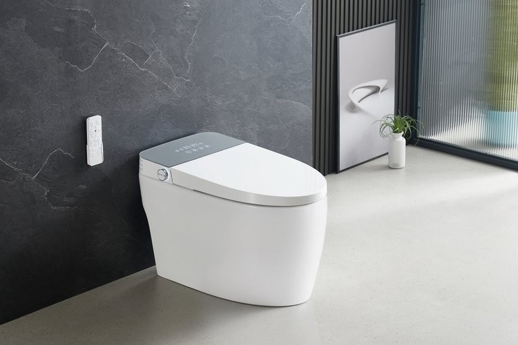 Умный приставной унитаз Roxen Smart Turbo 670300-02 с функцией биде и импульсным смывом Умный приставной унитаз Roxen Smart Turbo 670300-02 с функцией биде и импульсным смывом