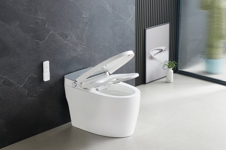 Умный приставной унитаз Roxen Smart Turbo 670300-02 с функцией биде и импульсным смывом Умный приставной унитаз Roxen Smart Turbo 670300-02 с функцией биде и импульсным смывом