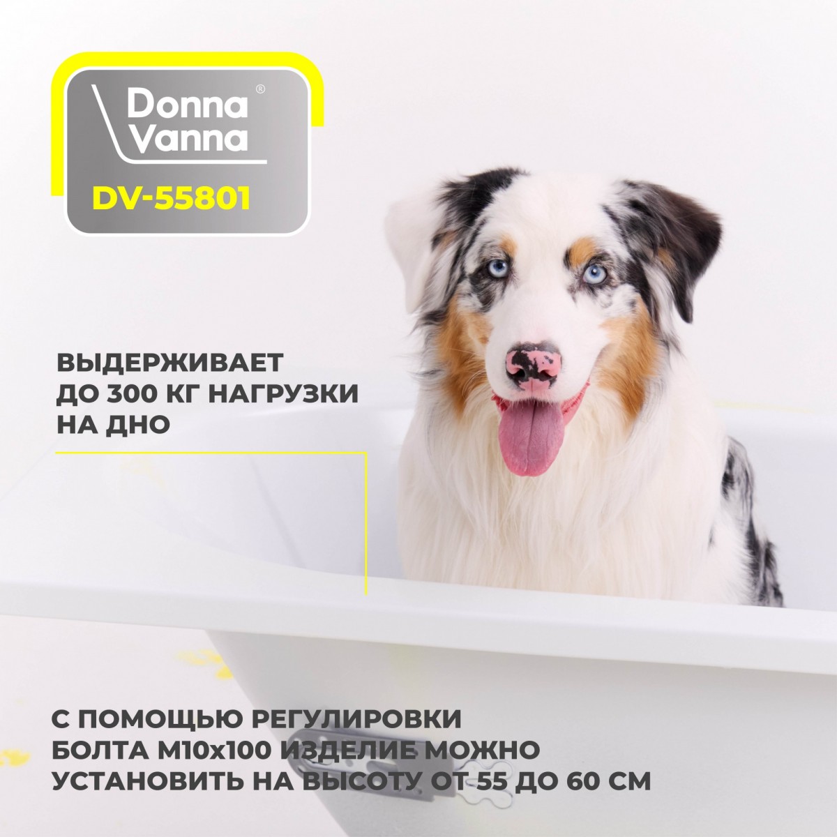 Ванна стальная VIZ Donna Vanna Аула 170x70x40 c опорной подставкой Ванна стальная VIZ Donna Vanna Аула 170x70x40 c опорной подставкой
