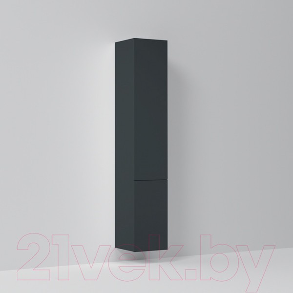 Шкаф-пенал для ванной AM.PM M90CHR0306GM Шкаф-пенал для ванной AM.PM M90CHR0306GM