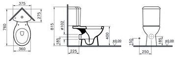 Унитаз Vitra Arkitekt 9754B003-7201 76х37,5 Soft Close Унитаз Vitra Arkitekt 9754B003-7201 76х37,5 Soft Close