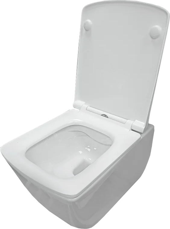 Унитаз подвесной Sanita Luxe Family Rimless Slim 34,5x55 cиденье дюропласт, Soft Close, белый Унитаз подвесной Sanita Luxe Family Rimless Slim 34,5x55 cиденье дюропласт, Soft Close, белый