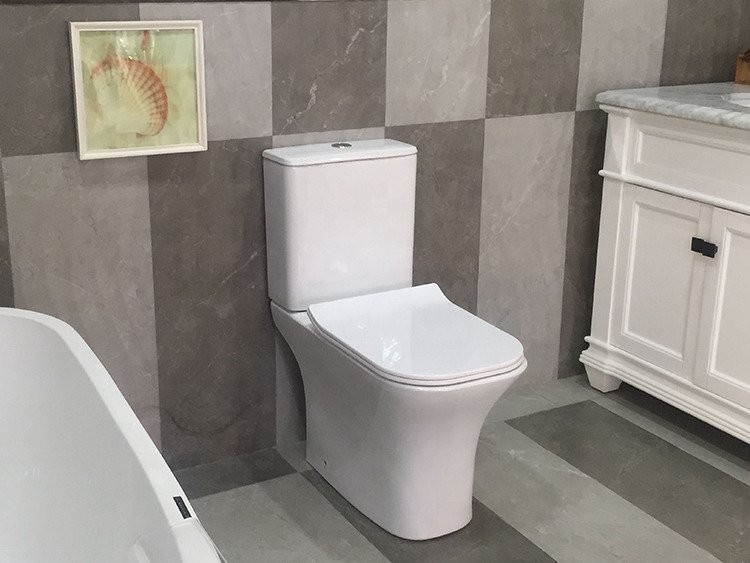 Напольный унитаз CeruttiSpa Vettore 34,5x66,5 безободковый SoftClose Напольный унитаз CeruttiSpa Vettore 34,5x66,5 безободковый SoftClose