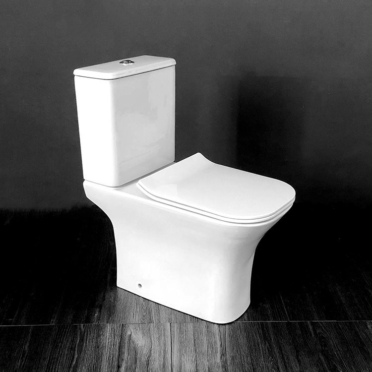Напольный унитаз CeruttiSpa Vettore 34,5x66,5 безободковый SoftClose Напольный унитаз CeruttiSpa Vettore 34,5x66,5 безободковый SoftClose