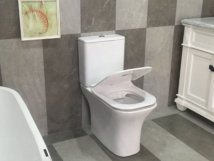 Напольный унитаз CeruttiSpa Vettore 34,5x66,5 безободковый SoftClose Напольный унитаз CeruttiSpa Vettore 34,5x66,5 безободковый SoftClose