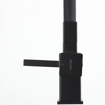 Смеситель Gappo G4395-36 (чёрный) Смеситель Gappo G4395-36 (чёрный)