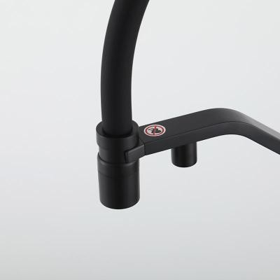 Смеситель Gappo G4395-66 (чёрный) Смеситель Gappo G4395-66 (чёрный)
