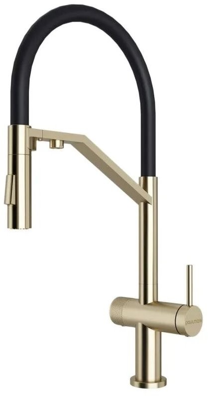Смеситель для кухни PAULMARK Zender Ze213155-LG светлое золото Смеситель для кухни PAULMARK Zender Ze213155-LG светлое золото