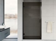 Душевая дверь Vincea Flex VDP-1F900CGB Душевая дверь Vincea Flex VDP-1F900CGB