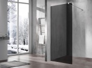 Душевая стенка Vincea Walk-In VSW-1H100CG