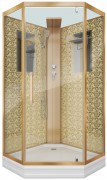 Душевая кабина Niagara Luxe NG-7717GBK 100x100 Душевая кабина Niagara Luxe NG-7717GBK 100x100