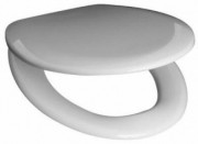 Сиденье с крышкой для унитаза Roca Mateo ZRU9302822 Сиденье с крышкой для унитаза Roca Mateo ZRU9302822
