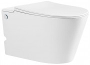 Унитаз подвесной Roxen Grown 620270-01 с импульсным смывом Унитаз подвесной Roxen Grown 620270-01 с импульсным смывом