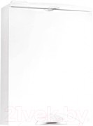 Шкаф с зеркалом для ванной Style Line Жасмин-2 50 (с подсветкой) Шкаф с зеркалом для ванной Style Line Жасмин-2 50 (с подсветкой)