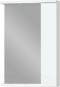 Шкаф с зеркалом для ванной Garda Marko-3/R (55)