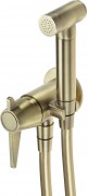 Смеситель для биде Deante Temisto Brass BQT_M34M латунь